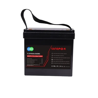 12V 50AH Li-FePO4 BATTTER nrog BMS